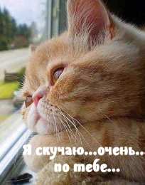 Я скучаю Открытки я скучаю без тебя. Открытки я скучаю по тебе подруга.