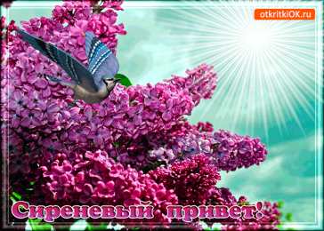 Открытки С сиренью Открытки картинки с сиренью. Открытки Доброе утро с сиренью. Открытки с 8 мартом с сиренью. Открытка С Днём рождения С сиренью. Открытка на 1 Мая с сиренью. Открытка с сиренью. Открытка на 9 мая с сиренью. GIF открытка с сиренью.