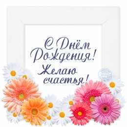 С герберами Оранжевые герберы фото. Герберы фото букетов. Белые герберы фото.