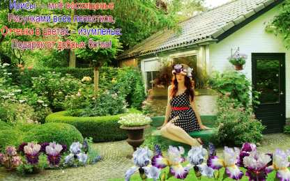 С ирисами Открытка сказочного денёчка с фиолетовыми ирисами и бабочкой.