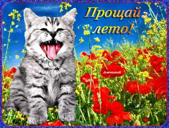 С последним днем лета! Картинки с последним месяцем лета. Открытки с последним месяцем лета.