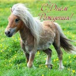 С лошадьми Новогодние открытки с лошадьми. Прикольные открытки с лошадью.