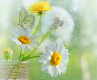 С одуванчиками Открытка мерцающая с одуванчиками белыми в стеклянной вазе. 