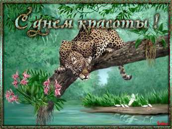 С днём красоты Картинки с днем красоты. Картинки с днем красоты 9 сентября.