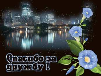 Открытки о дружбе Красивые открытки для друзей. Красивые открытки с пожеланиями.