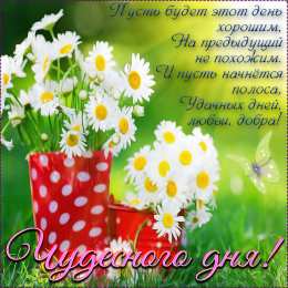 С ромашками Картинки с ромашками. Картинки Спокойной ночи с ромашками.  