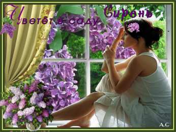 Открытки С сиренью Открытки С днём сирени. Поздравительные открытки с сиренью.  Картинки С днём рождения с сиренью. Открытки чудесного весеннего настроения с цветами сирени. Открытка веточка сирени для тебя. Открытка Приятного вечера с букетом сирени.