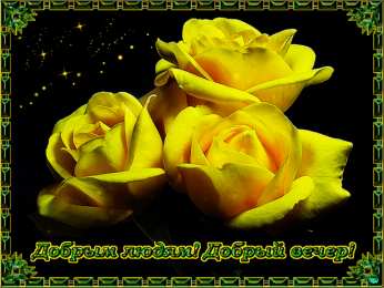 С желтыми розами Картинка с жёлтыми розами скачать, открытки с жёлтыми розами.