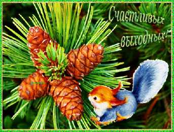 С белочками Открытка белочка с днём рождения. Прикольные открытки с белочкой.