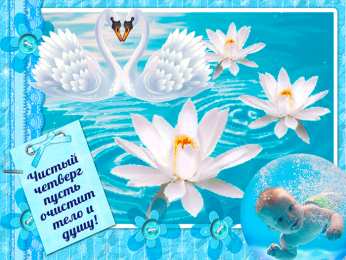 С лотосом Самые красивые лотосы фото GIF картинка Лотос. Живая картинка лотоса.