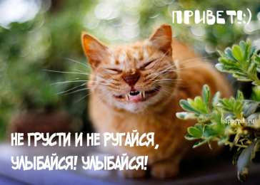 Улыбнись  Картинки не грусти улыбнись.  Картинки Не злись Улыбнись.  