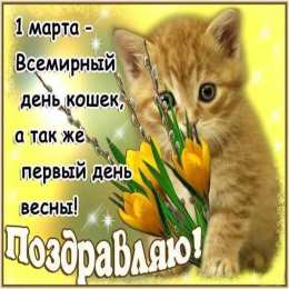 С Всемирным днём кошек Прикольные открытки с Днем кошек. День кошек в России открытки.