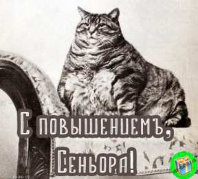 С повышением Картинка поздравляю с повышением. Картинка поздравление с повышением.