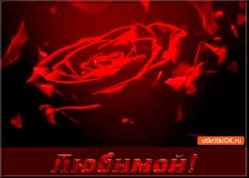 Для любимой Картинки для любимой женщины. Открытки с добрым утром любимая моя.