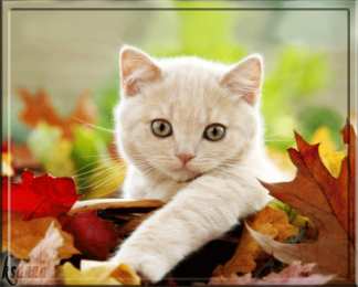 Я скучаю Открытка с прикосновениями рук скучаю мечтаю прикоснуться к тебе.