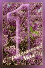 Открытки С сиренью Скачать бесплатно сирень.  Открытки С днём рождения с сиренью. Открытка Сиреневая Нежность, я с корзиной цветов сирени Сиреневый и голубой. Открытка Приятного вечера с букетом сирени. Картинки с днём рождения с сиренью. Скачать бесплатно сирень.