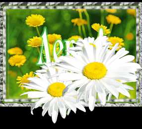 Про лето Смешные картинки Скоро лето. Хочу на море смешные картинки. 