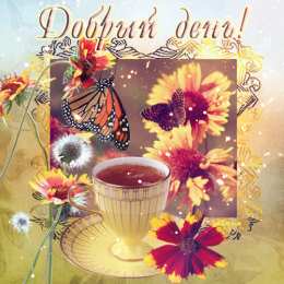 Добрый день Картинки добрый день скачать бесплатно. Добрый день открытки.