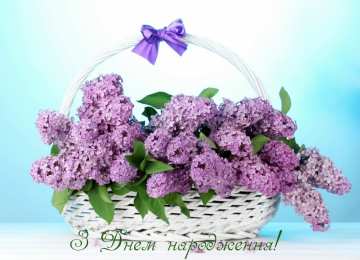 С сиренью Открытка с днём рождения, с букетом фиолетовой сирени в корзине.