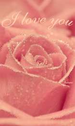 С розовыми розами Открытка с подарками и букетом розовых роз на день рождения.