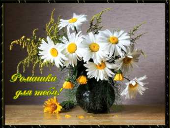 С ромашками Открытка Зайчик с ромашками. Открытка с ромашками на день рождения.