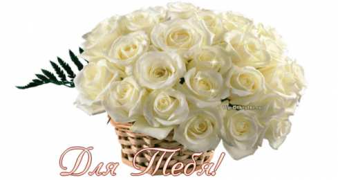 С белыми розами Картинки с белыми розами скачать. Красивые картинки с белыми розами.