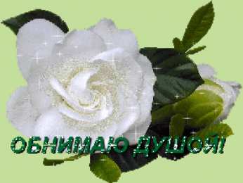 Обнимаю Открытка обнимаю тебя. Открытка Люблю целую обнимаю. Открытка обнимаю.