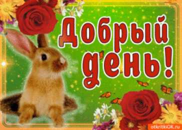 Добрый день Картинки хорошего дня скачать. Хорошего дня и настроения открытки.