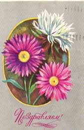 С астрами Фото Астры и хризантемы. Астры букет фото. Красивые Астры фото.