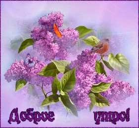 Открытки С сиренью Открытки картинки с сиренью. Открытки Доброе утро с сиренью. Открытки с 8 мартом с сиренью. Открытка С Днём рождения С сиренью. Открытка на 1 Мая с сиренью. Открытка с сиренью. Открытка на 9 мая с сиренью. GIF открытка с сиренью.