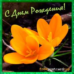 С крокусами Открытка мерцающая с фиолетовыми крокусами и бабочкой к 8 марта.