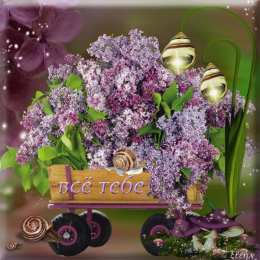 Открытки С сиренью Открытки чудесного весеннего настроения с цветами сирени.    Открытка с днём рождения, с букетом фиолетовой сирени в корзине. Открытка с пожеланиями счастливой весны и цветущей сиренью. Открытка веточка сирени для тебя. Открытка Приятного вечера с букетом сирени.