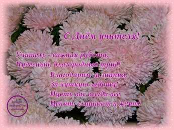 С астрами Открытка Астры для тебя. Ретро открытка С Днём рождения С астрами.