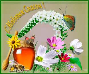 Медовый спас Открытка с иконой на медовый спас. Открытка с мёдом ромашками и чёлкой. 