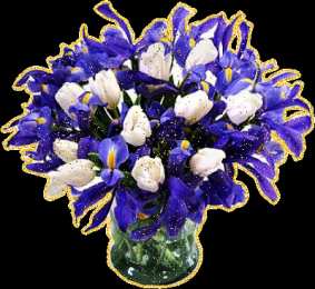 С ирисами Красивые фото ирисов. Ирисы фото на рабочий стол. Картинки цветов ириса.