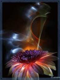 С герберами Нежная открытка с днём рождения со светло розовыми герберами.