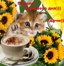 Добрый день Картинки хорошего дня скачать. Хорошего дня и настроения открытки.