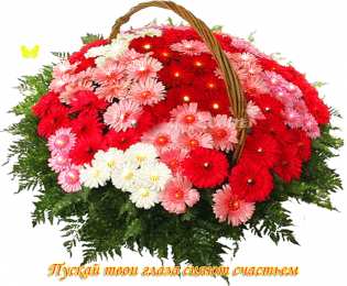 С астрами Фото Астры и хризантемы. Астры букет фото. Красивые Астры фото.