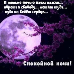 Спокойной ночи Открытки Спокойной ночи любимая. Открытки Спокойной ночи доченька.