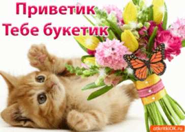 С приветствием  Открытка Привет любимый. Открытка приветствие. Открытка Привет мужчине.