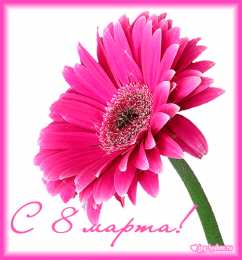 С герберами Скачать бесплатно картинки с герберами. Картинки с цветами герберами.