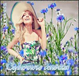 С васильками Картинки с васильками и ромашками. Красивые картинки с васильками.