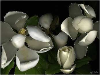 С жасмином Открытка Доброе утро С чашечкой чая и букетом жасмина стеклянной вазе.