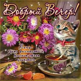 Добрый вечер Прикольные открытки Добрый вечер. Открытки Добрый вечер друзья.