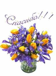 Спасибо Картинки со словом Спасибо. Картинки Спасибо за внимание смешные.