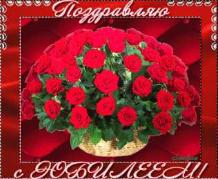 С красными розами Картинка с красными розами. Живые розы фото. Шикарные розы фото.