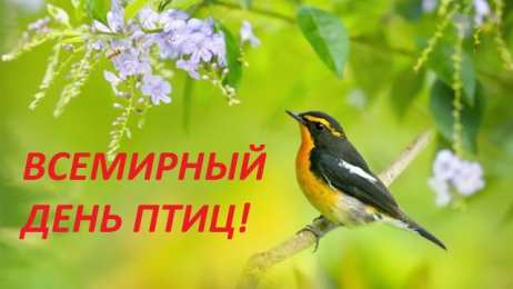 С днём птиц С международным днем птиц картинки. Открытка день птиц 2019.