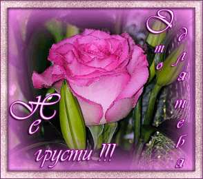 Не грусти Картинки не грусти пожалуйста. Картинки Не грусти подружка. 