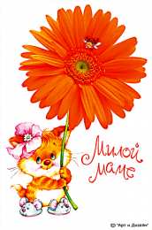 С герберами Оранжевые герберы фото. Герберы фото букетов. Белые герберы фото.