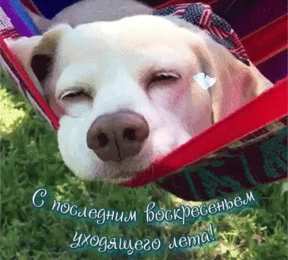 С последним днем лета! Картинки с последним месяцем лета. Открытки с последним месяцем лета.